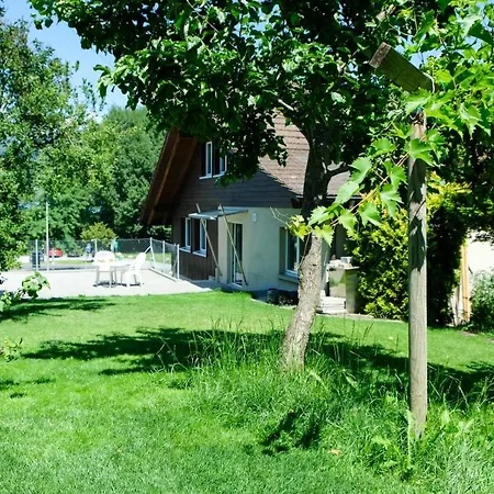 Hauswurz Thun