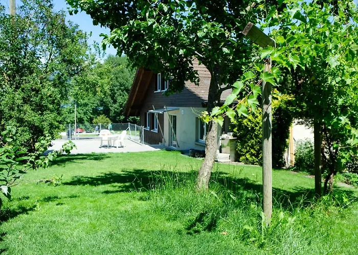 Hauswurz Thun